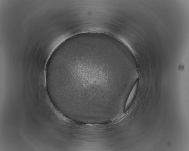 X0000090761079200708031625