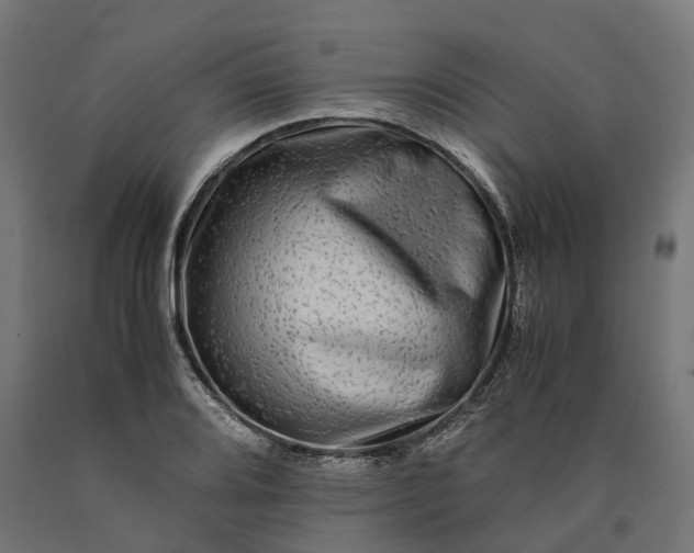 X0000090761080200708031625