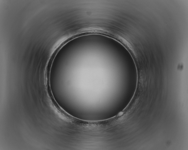 X0000090761082200708031625