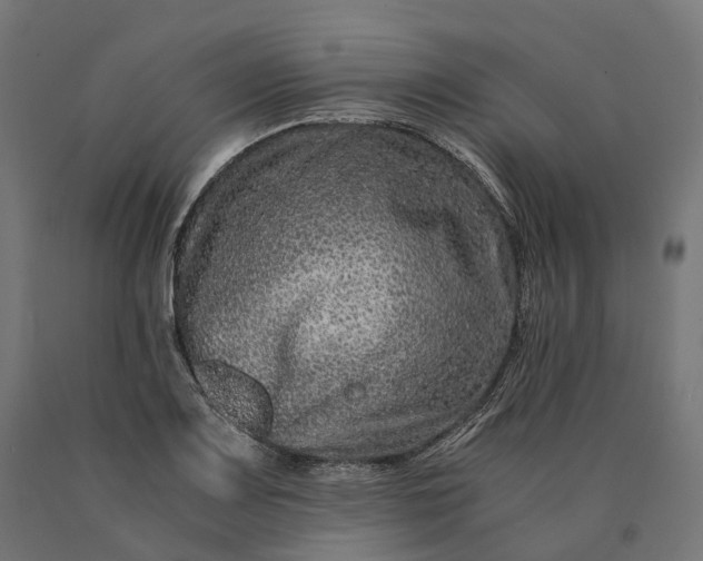 X0000090761083200708031625