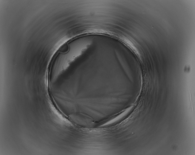 X0000090761084200708031625