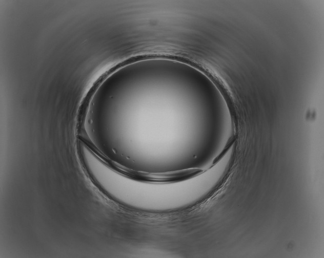 X0000090761085200708031625