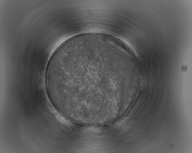 X0000090761086200708031625