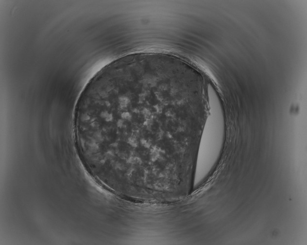 X0000090761087200708031625