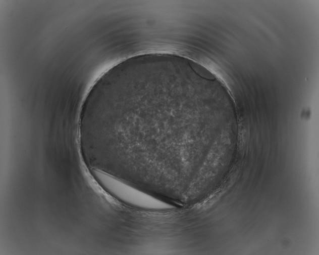 X0000090761088200708031625