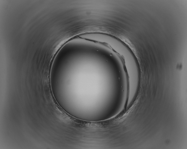 X0000090761089200708031625