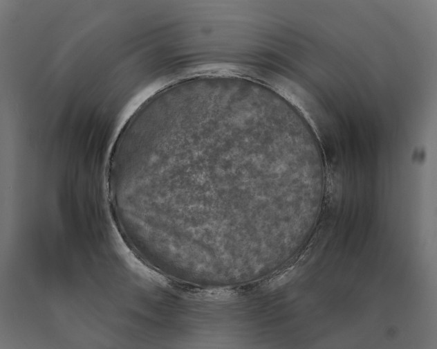 X0000090761090200708031625