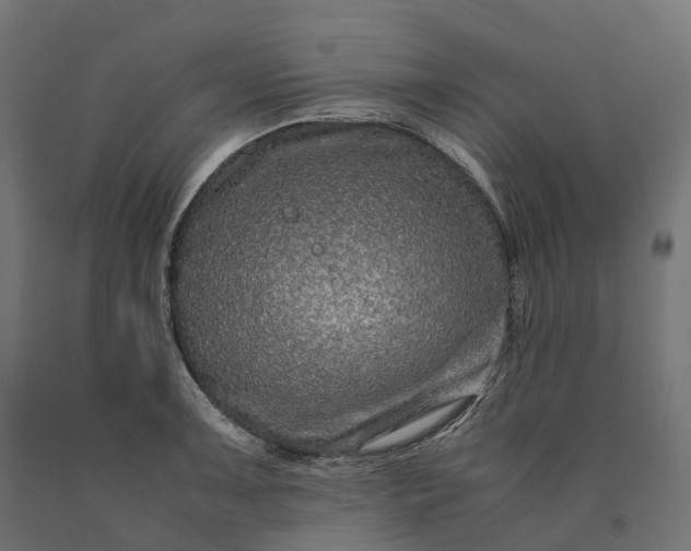 X0000090761091200708031625