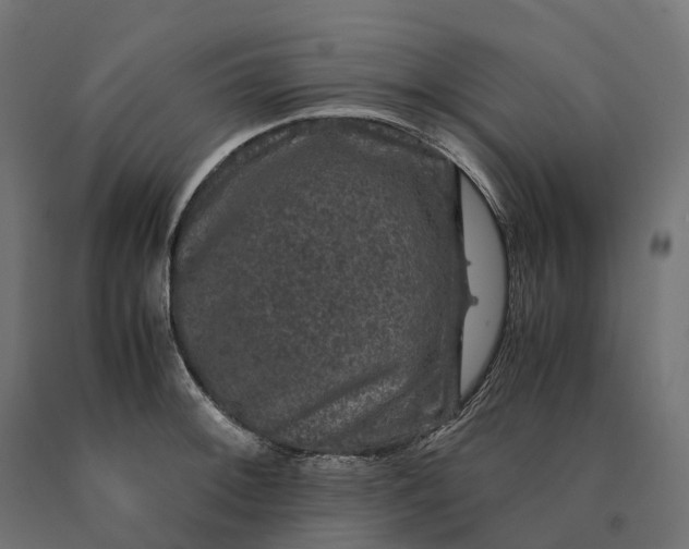 X0000090761092200708031625