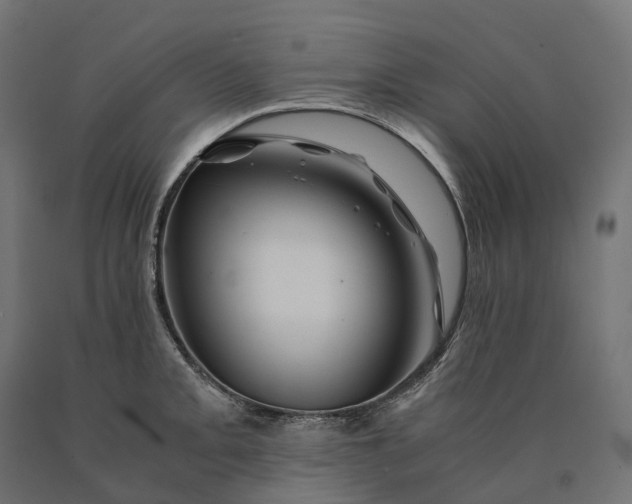 X0000090761093200708031625