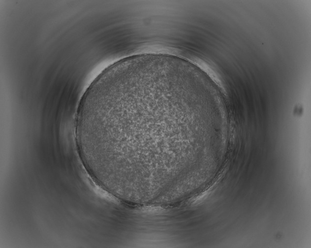 X0000090761094200708031625