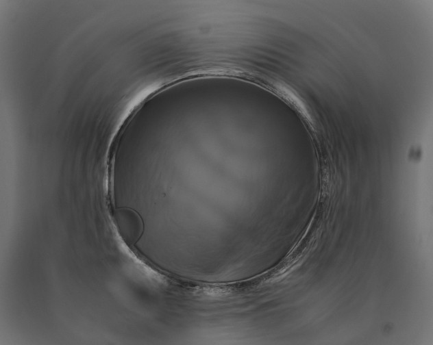 X0000090761095200708031625