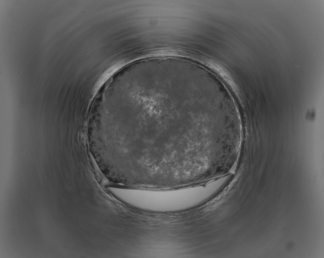 X0000090761097200708031625