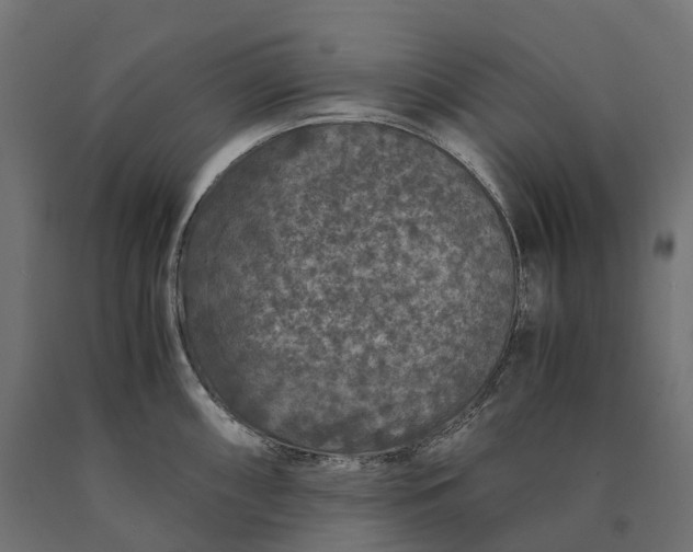 X0000090761098200708031625