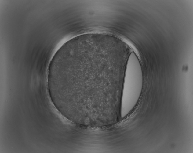 X0000090761099200708031625