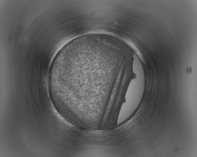 X0000090761100200708031625