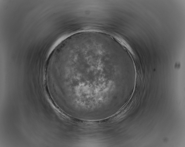 X0000090761101200708031625