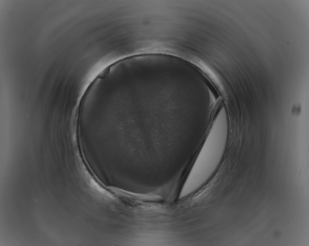 X0000090761102200708031625