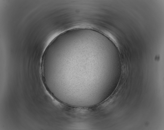 X0000090761103200708031625