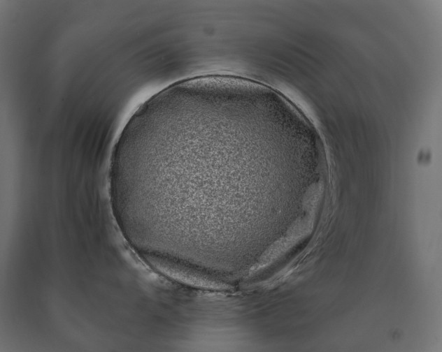 X0000090761104200708031625