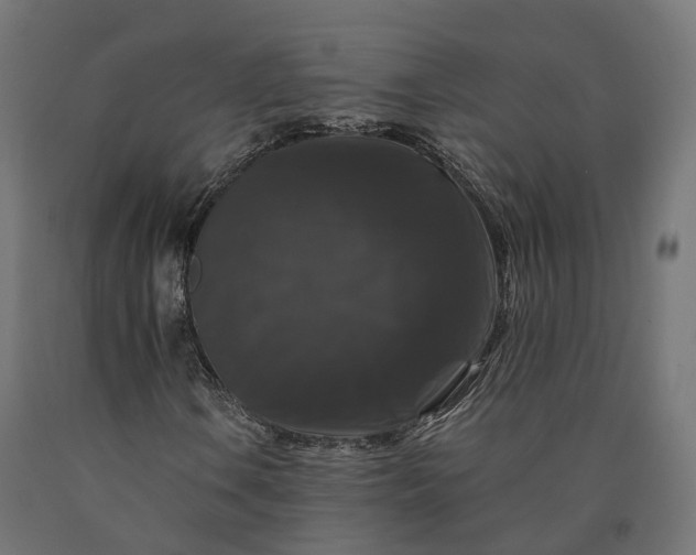 X0000090761106200708031624