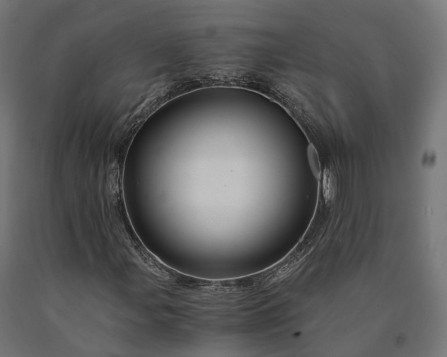 X0000090761107200708031624