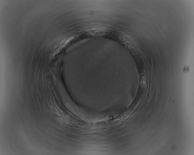 X0000090761108200708031624