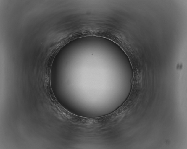 X0000090761109200708031624