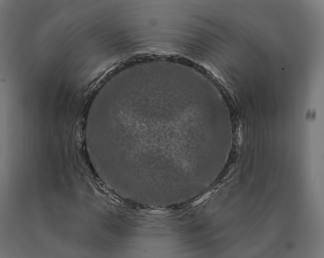 X0000090761110200708031624