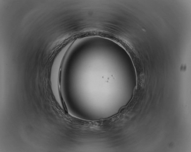 X0000090761111200708031624