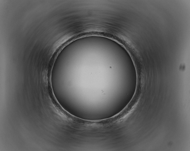 X0000090761113200708031624