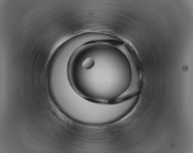 X0000090761114200708031624