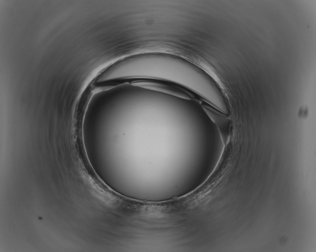 X0000090761116200708031624