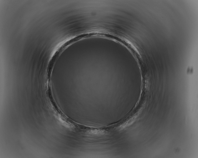 X0000090761117200708031624