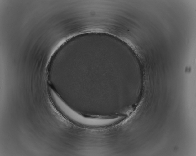 X0000090761118200708031624