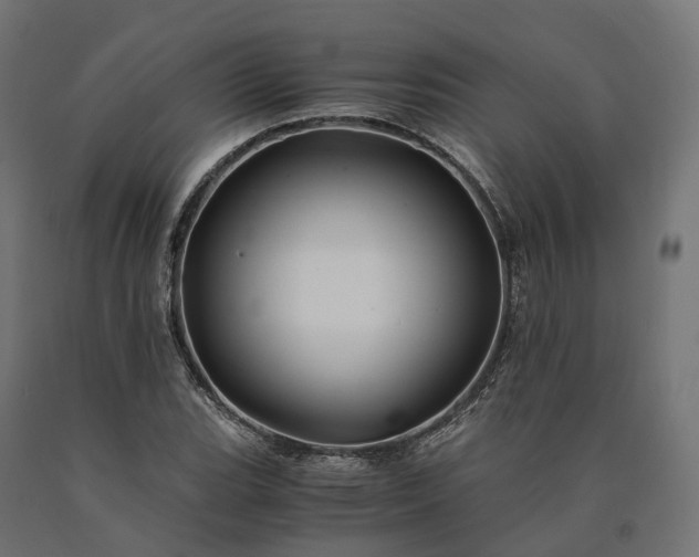 X0000090761119200708031624