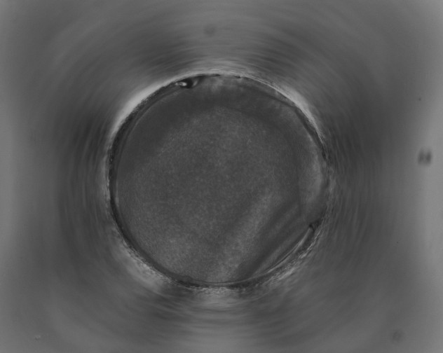 X0000090761120200708031624