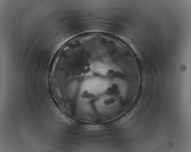 X0000090761121200708031624