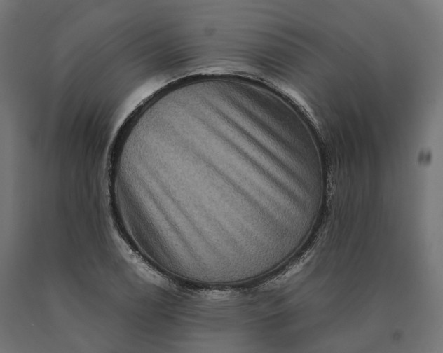 X0000090761122200708031624