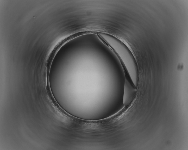 X0000090761123200708031624