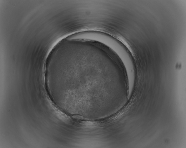 X0000090761124200708031624