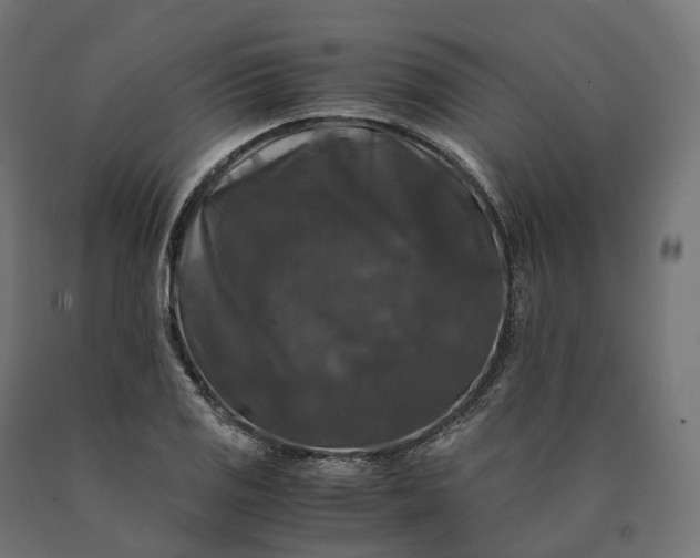 X0000090761125200708031624