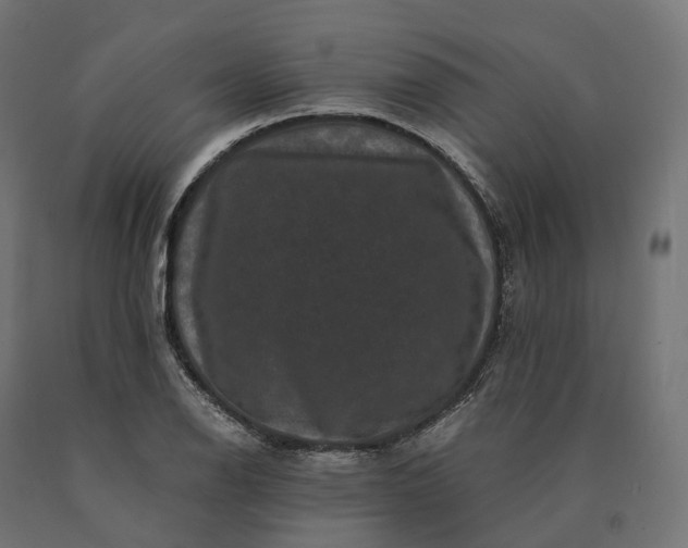 X0000090761126200708031624