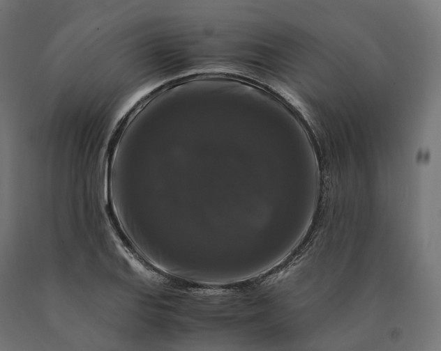 X0000090761127200708031624