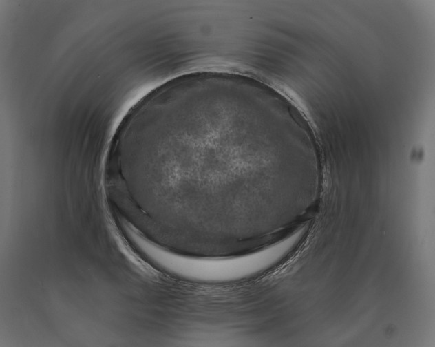 X0000090761128200708031624