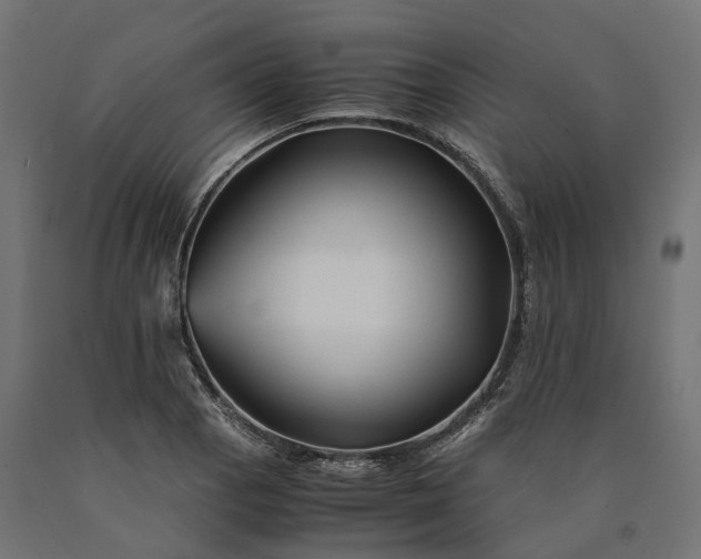 X0000090761129200708031624