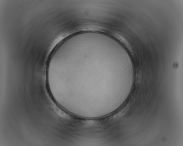 X0000090761130200708031624