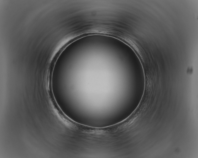 X0000090761131200708031624