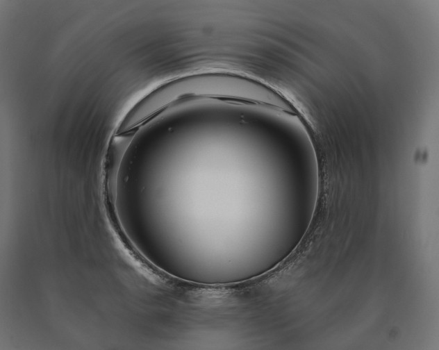 X0000090761134200708031624