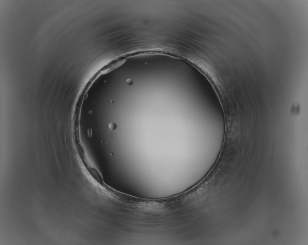 X0000090761135200708031624